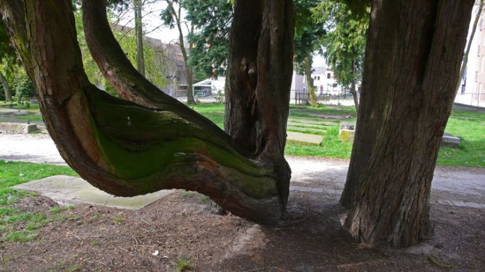 Klik op de foto om originele grootte te bekijken