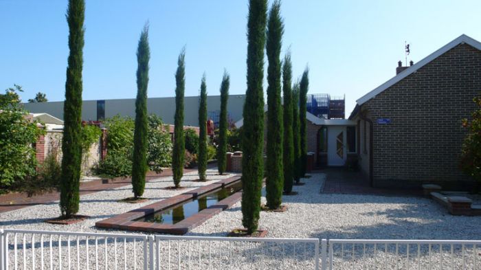 Klik op de foto om originele grootte te bekijken