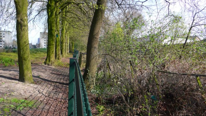 Klik op de foto om originele grootte te bekijken