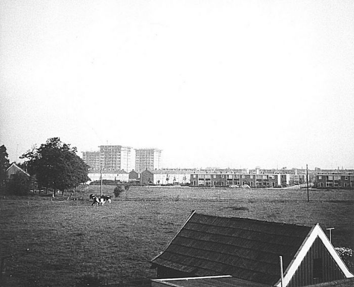 Klik op de foto om originele grootte te bekijken