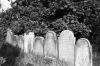1981_0005-24a_Joodse_begraafplaats.jpg
